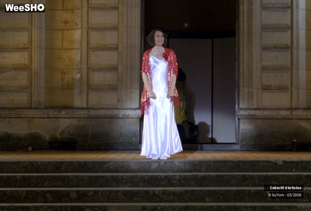 28/34 photos du spectacle Son & Lumière Raismes 1