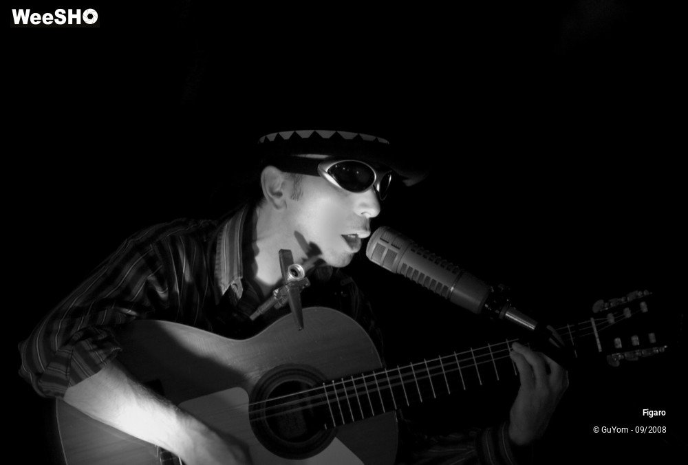 19/38 photos du spectacle Figaro