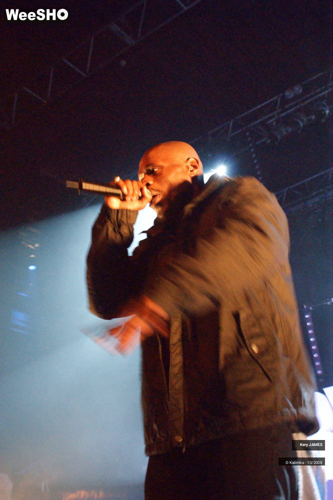 13/45 photos du spectacle Kery James