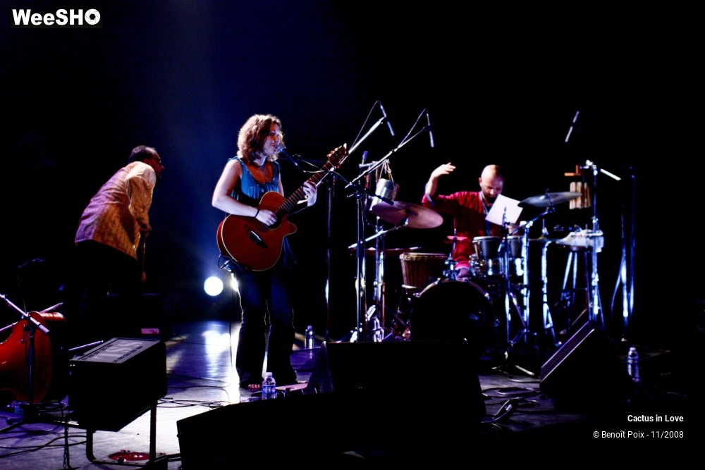 22/26 photos du spectacle Cactus In Love