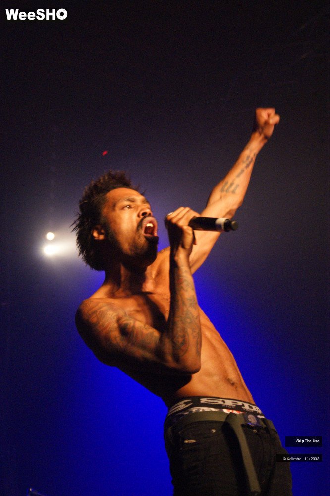 3/46 photos du spectacle Skip The Use