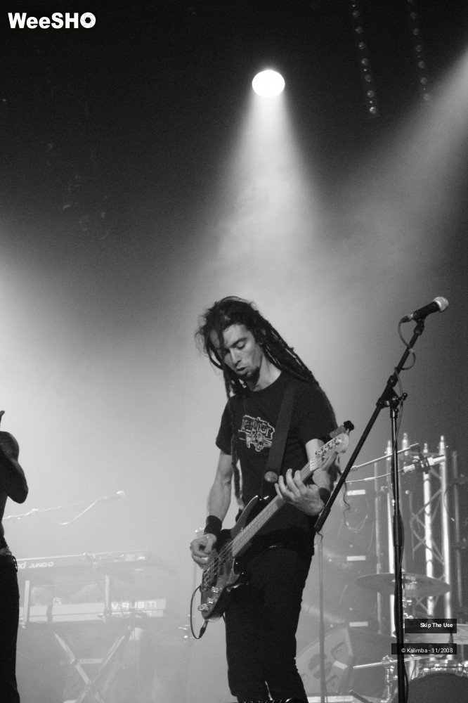 7/46 photos du spectacle Skip The Use