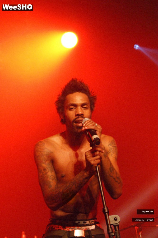 8/46 photos du spectacle Skip The Use