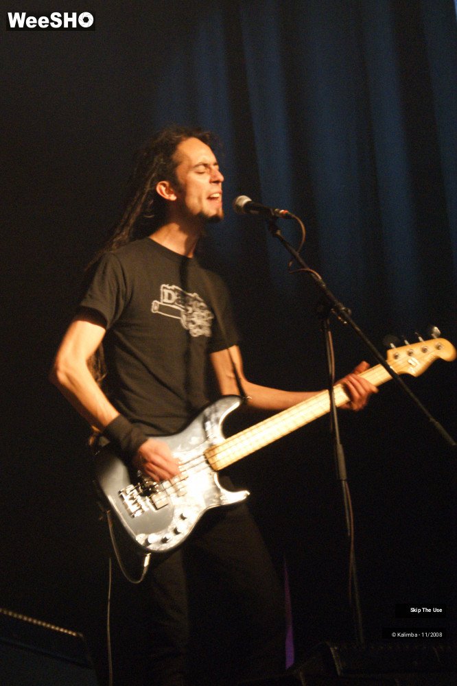 12/46 photos du spectacle Skip The Use