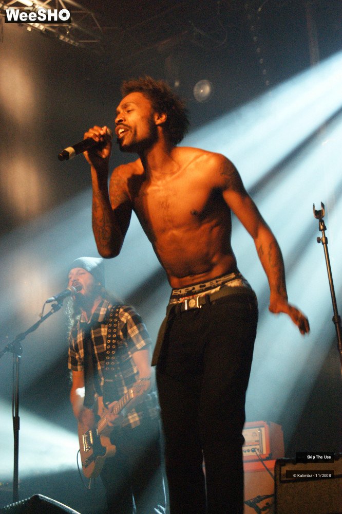 13/46 photos du spectacle Skip The Use