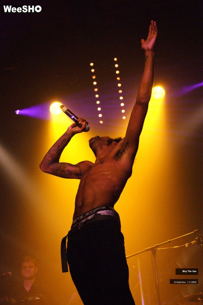 14/46 photos du spectacle Skip The Use
