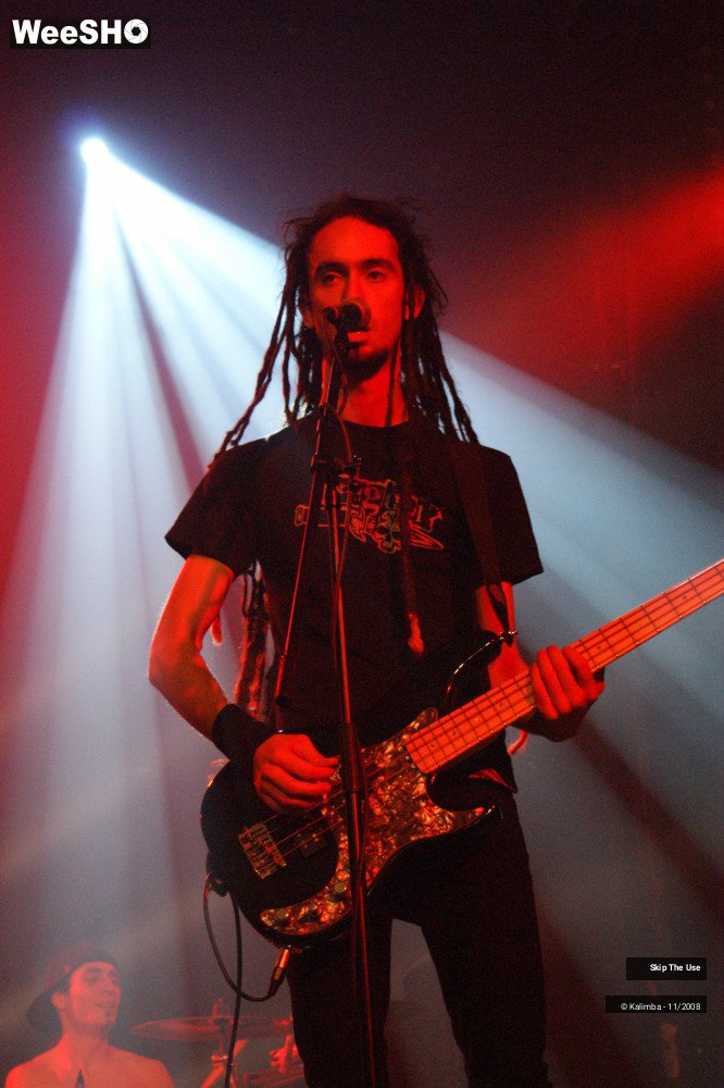15/46 photos du spectacle Skip The Use