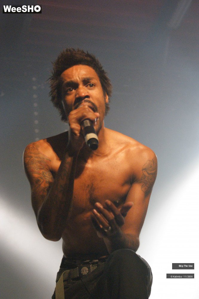 18/46 photos du spectacle Skip The Use