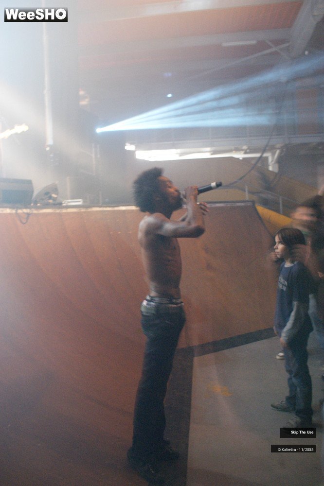 22/46 photos du spectacle Skip The Use