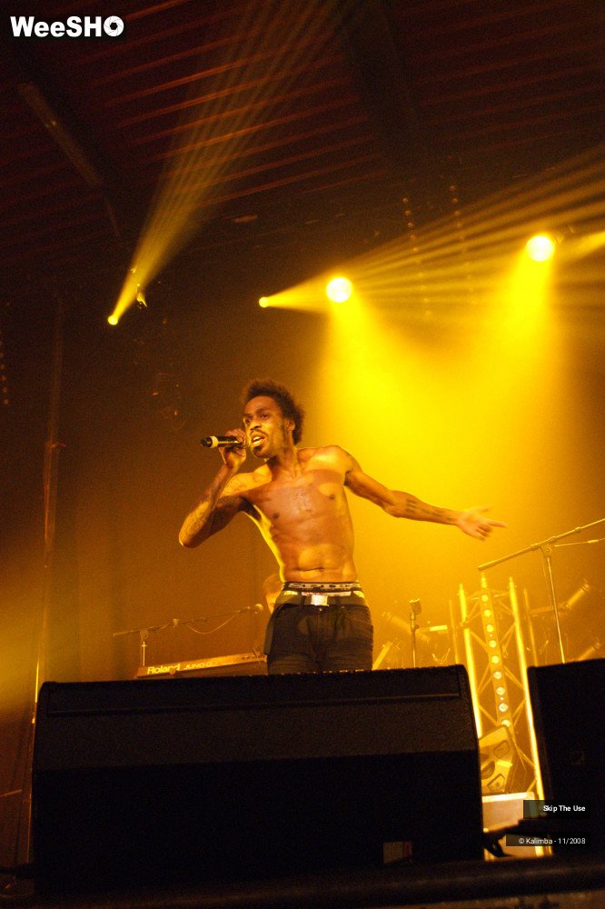 23/46 photos du spectacle Skip The Use