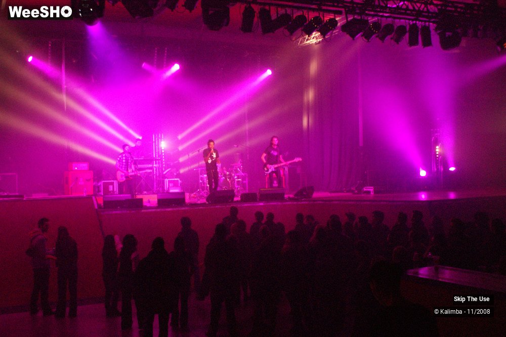 28/46 photos du spectacle Skip The Use