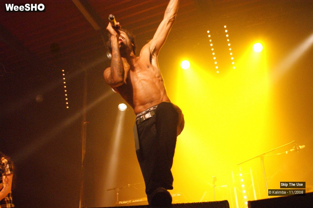 29/46 photos du spectacle Skip The Use