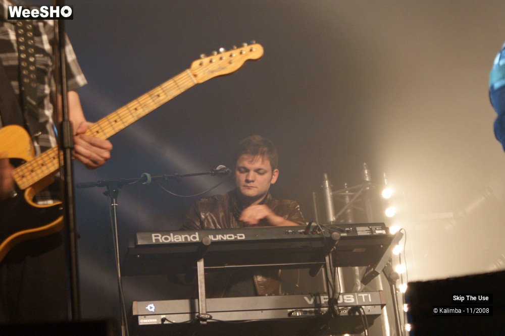 32/46 photos du spectacle Skip The Use