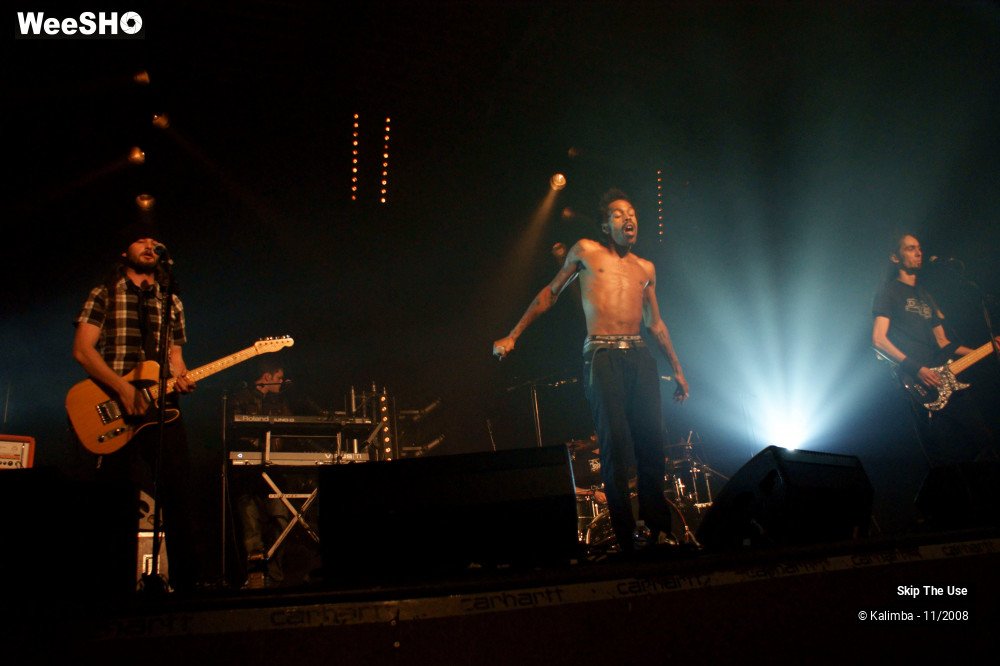 34/46 photos du spectacle Skip The Use