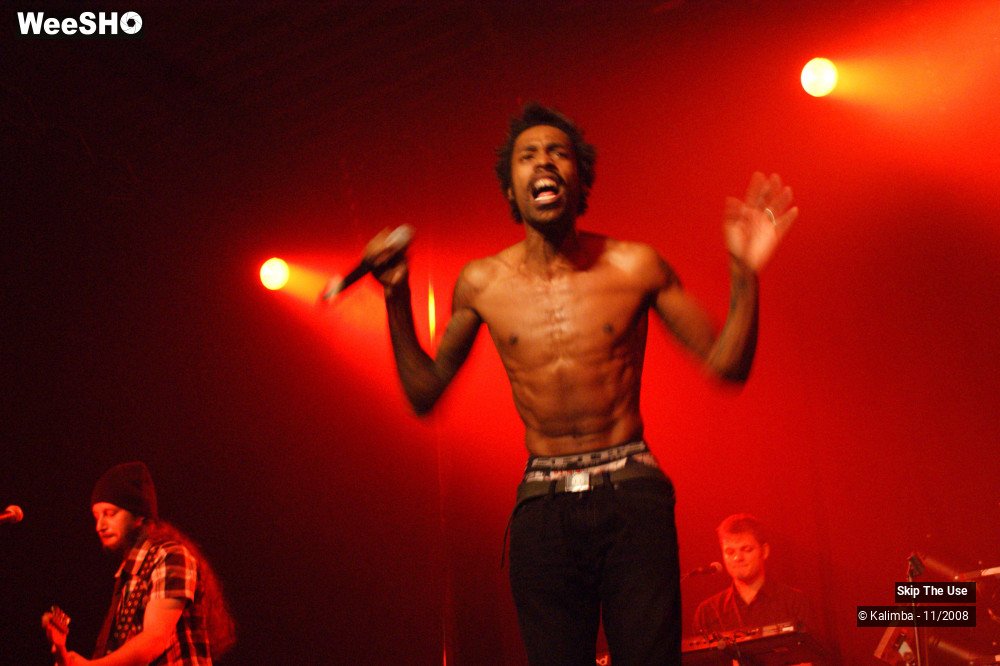 35/46 photos du spectacle Skip The Use