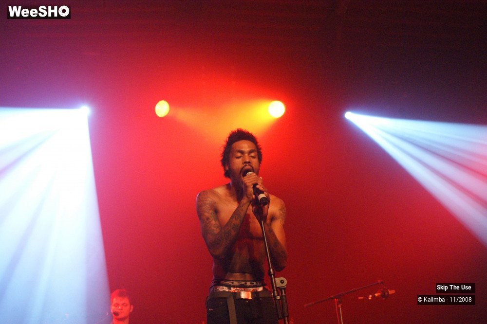36/46 photos du spectacle Skip The Use