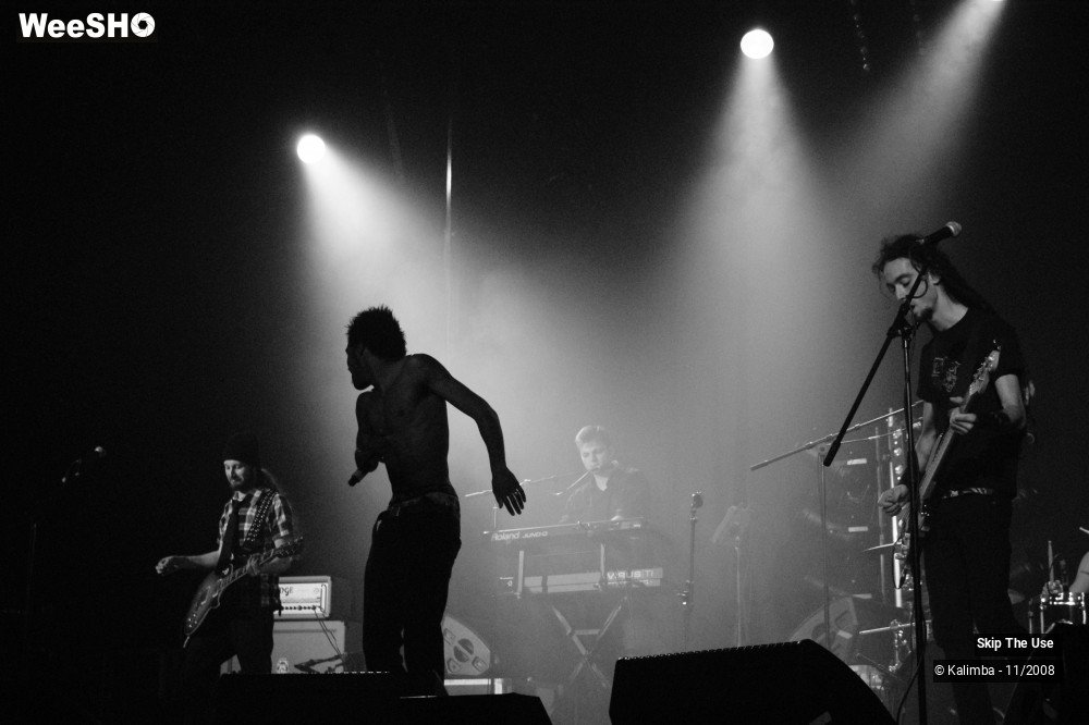 39/46 photos du spectacle Skip The Use