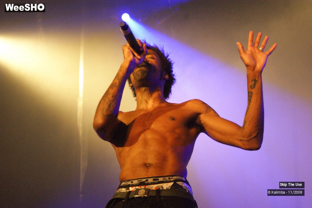 40/46 photos du spectacle Skip The Use