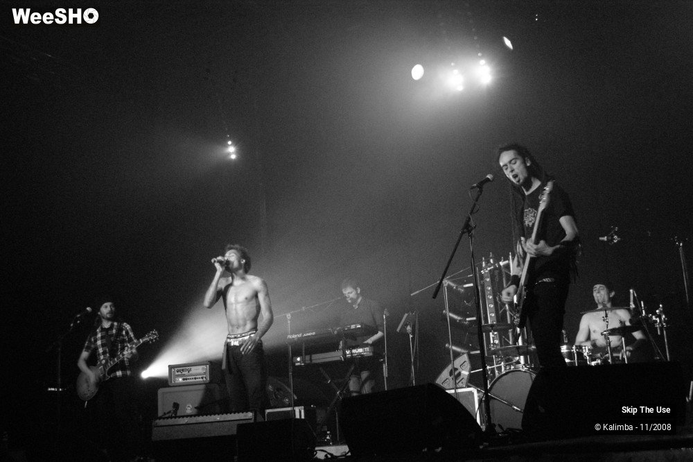 42/46 photos du spectacle Skip The Use