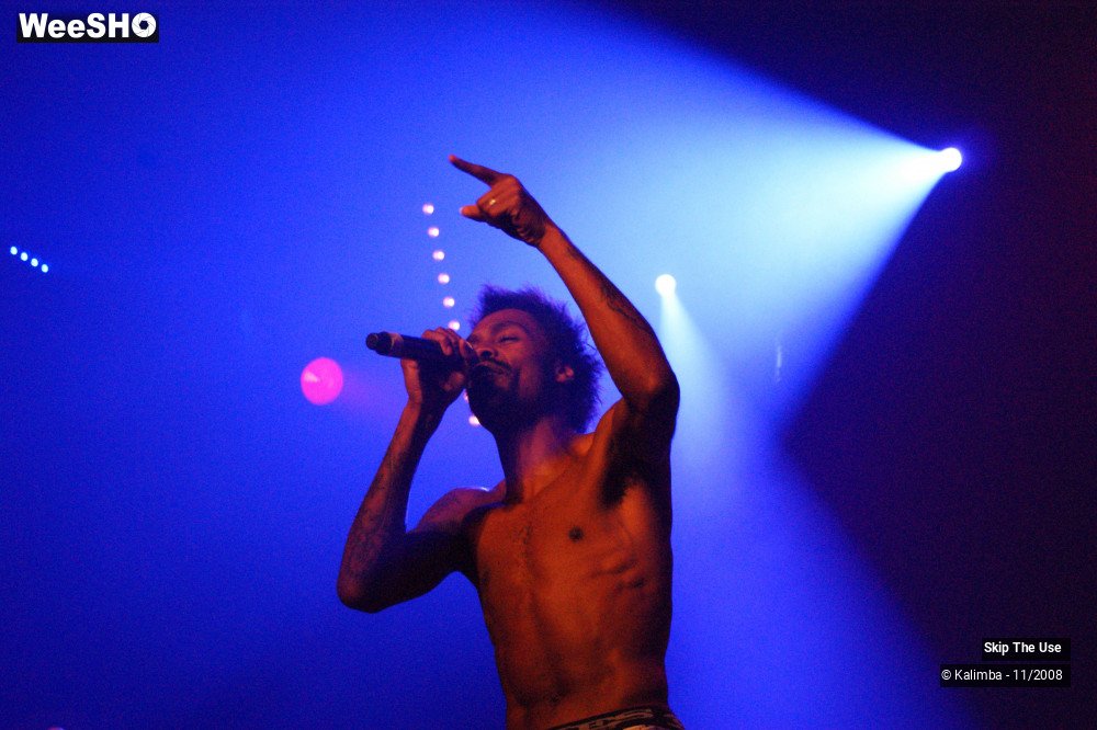 43/46 photos du spectacle Skip The Use