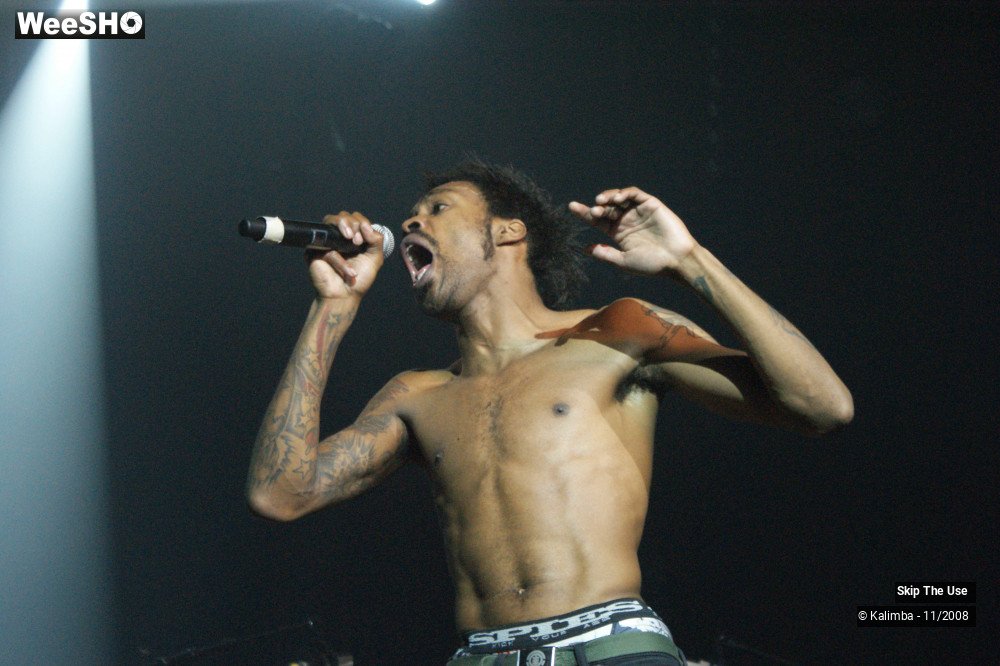 44/46 photos du spectacle Skip The Use