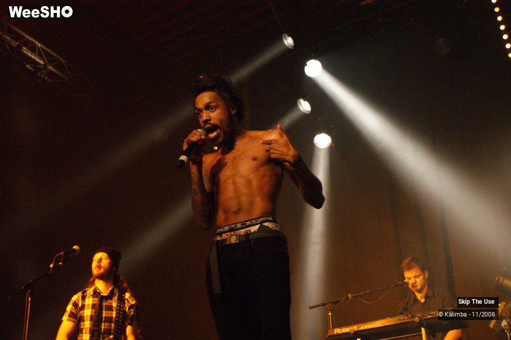 46/46 photos du spectacle Skip The Use