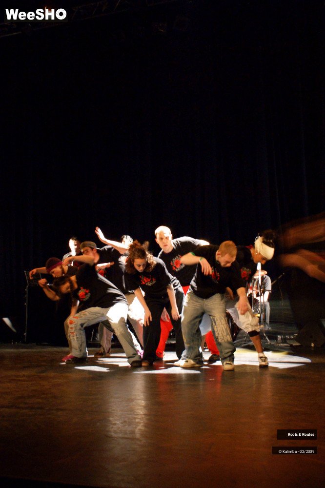 1/38 photos du spectacle Roots & Routes