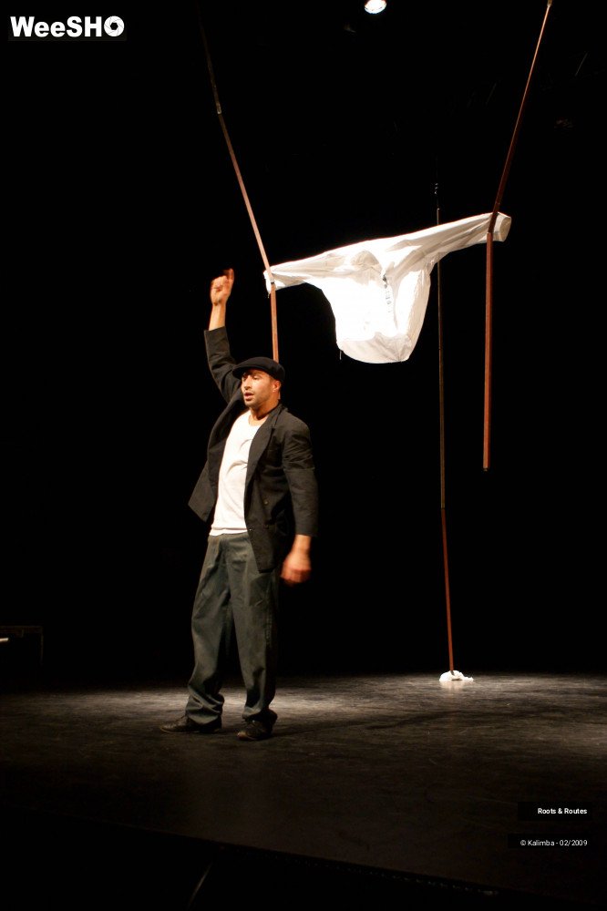 3/38 photos du spectacle Roots & Routes