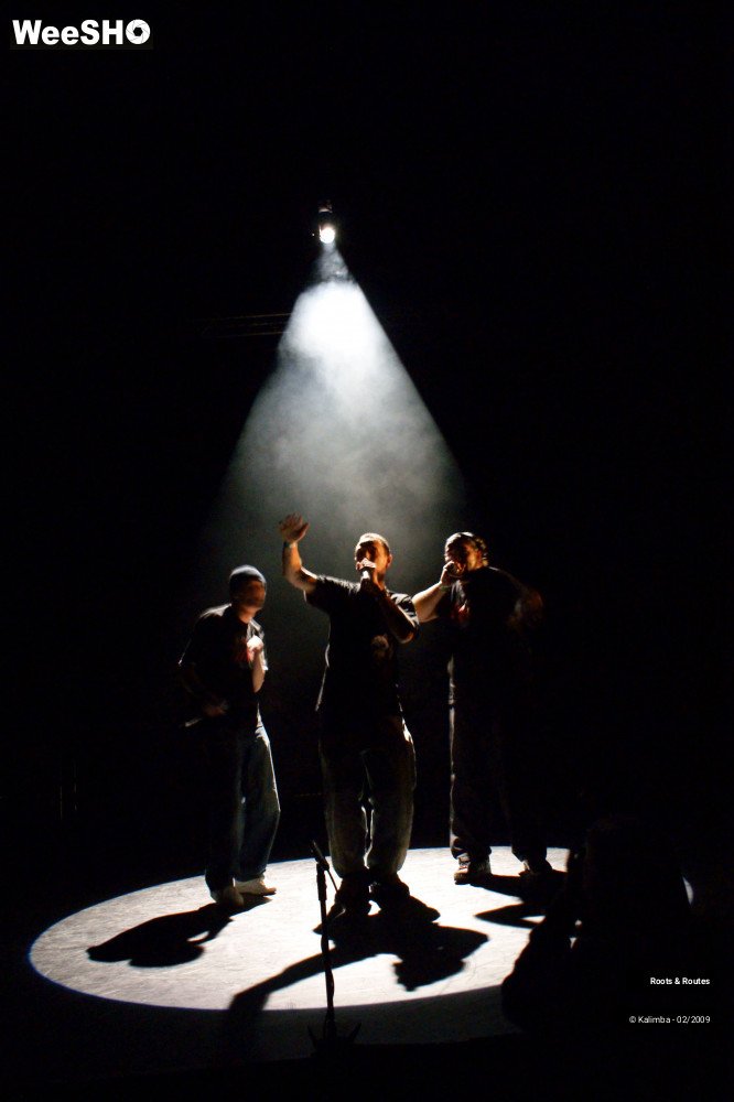 4/38 photos du spectacle Roots & Routes