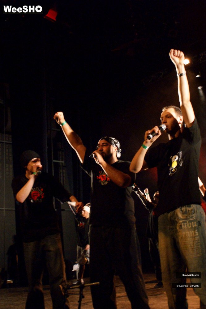 5/38 photos du spectacle Roots & Routes