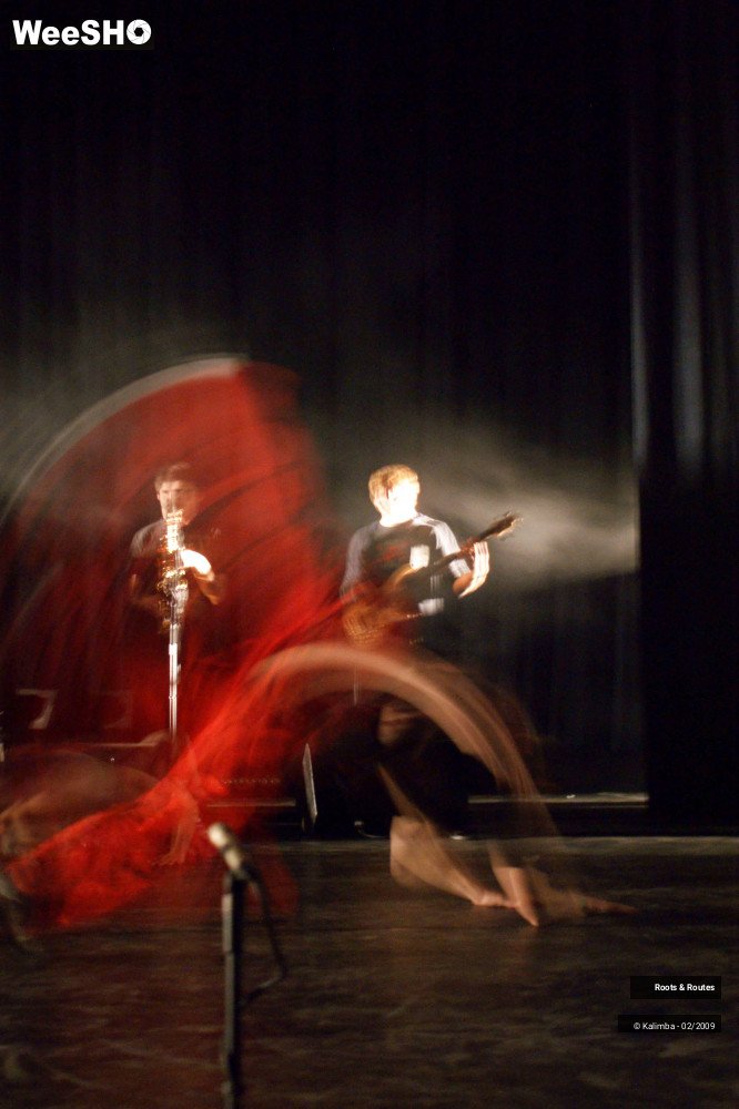 7/38 photos du spectacle Roots & Routes