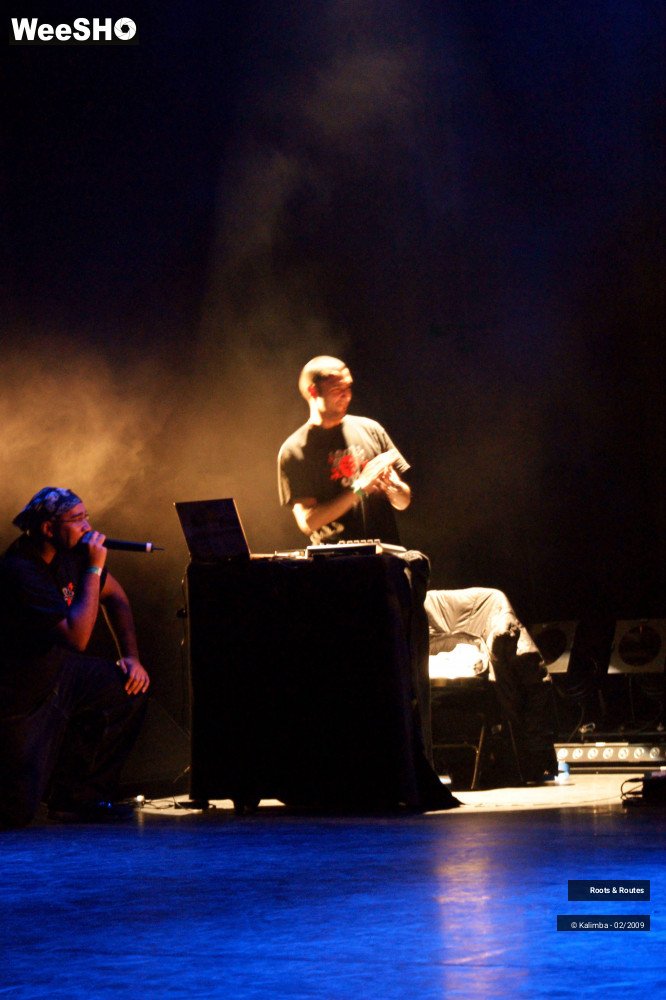 8/38 photos du spectacle Roots & Routes