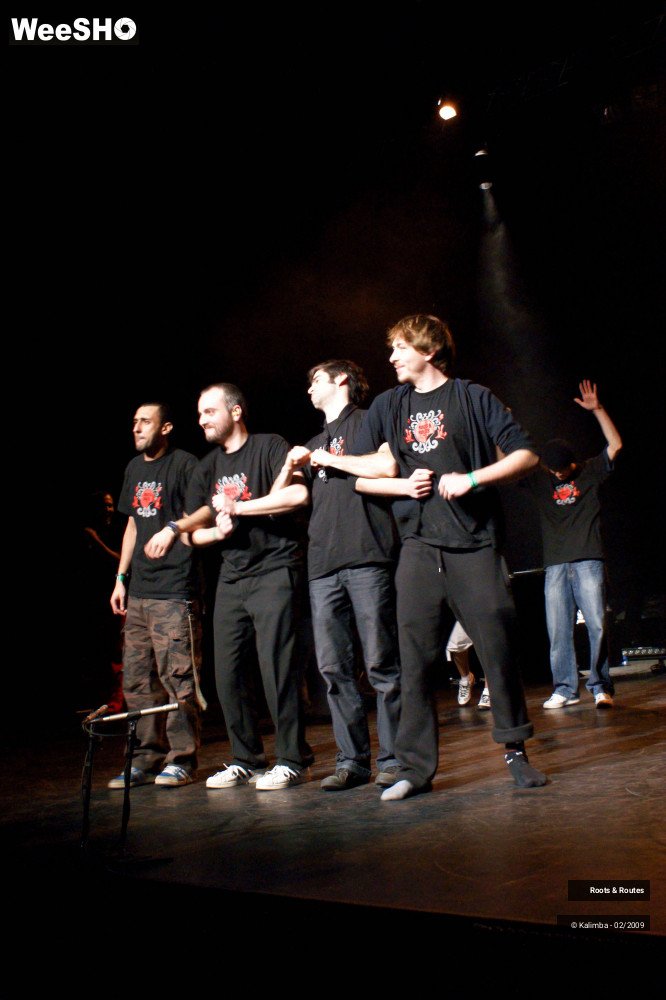 9/38 photos du spectacle Roots & Routes