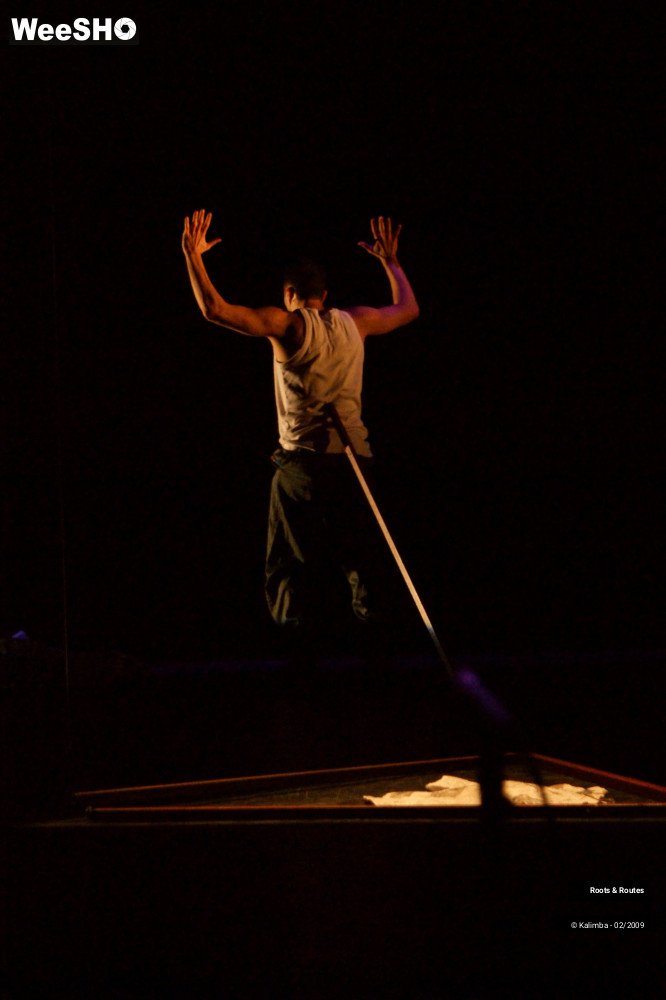 10/38 photos du spectacle Roots & Routes