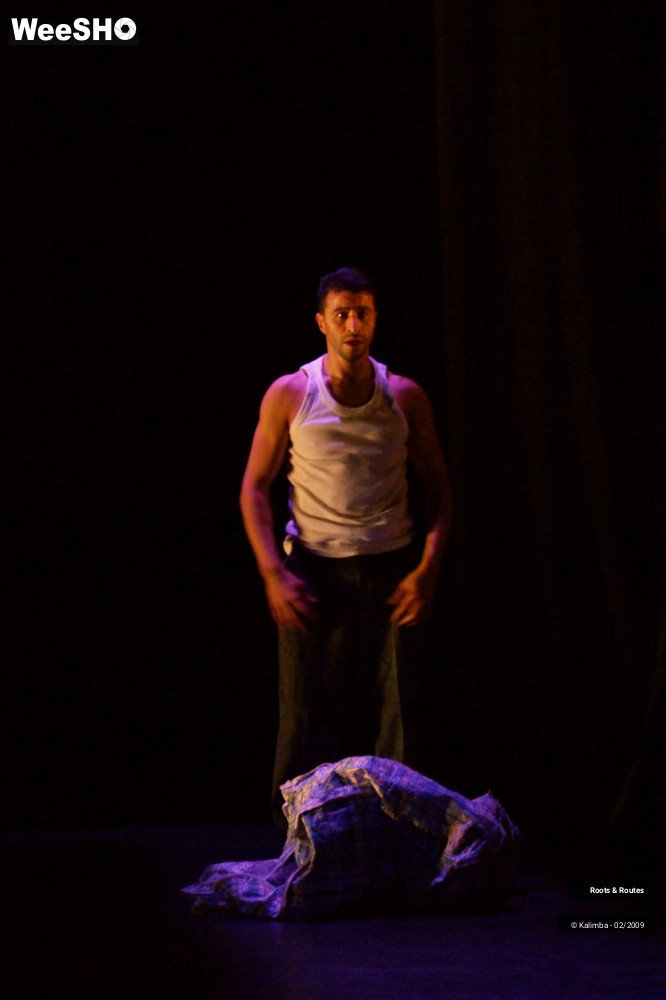 11/38 photos du spectacle Roots & Routes