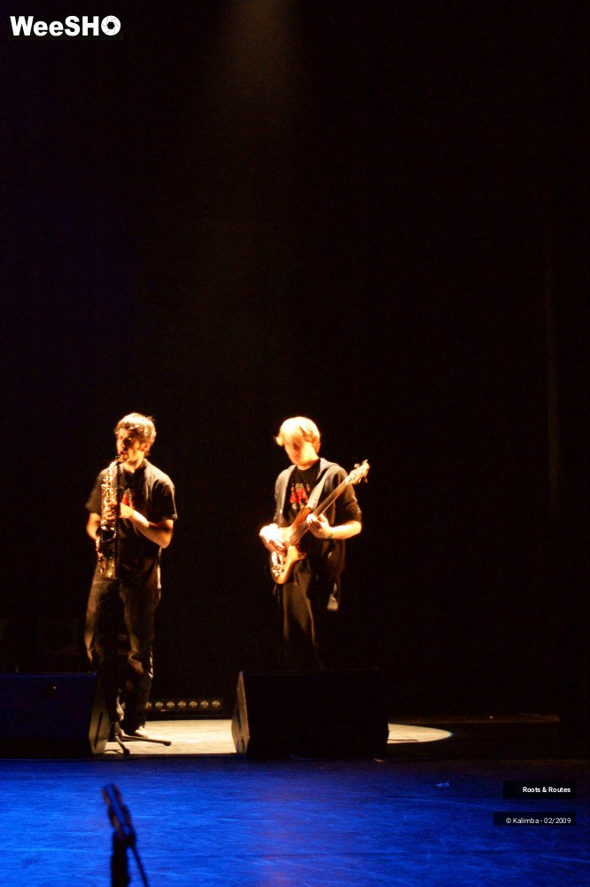 12/38 photos du spectacle Roots & Routes