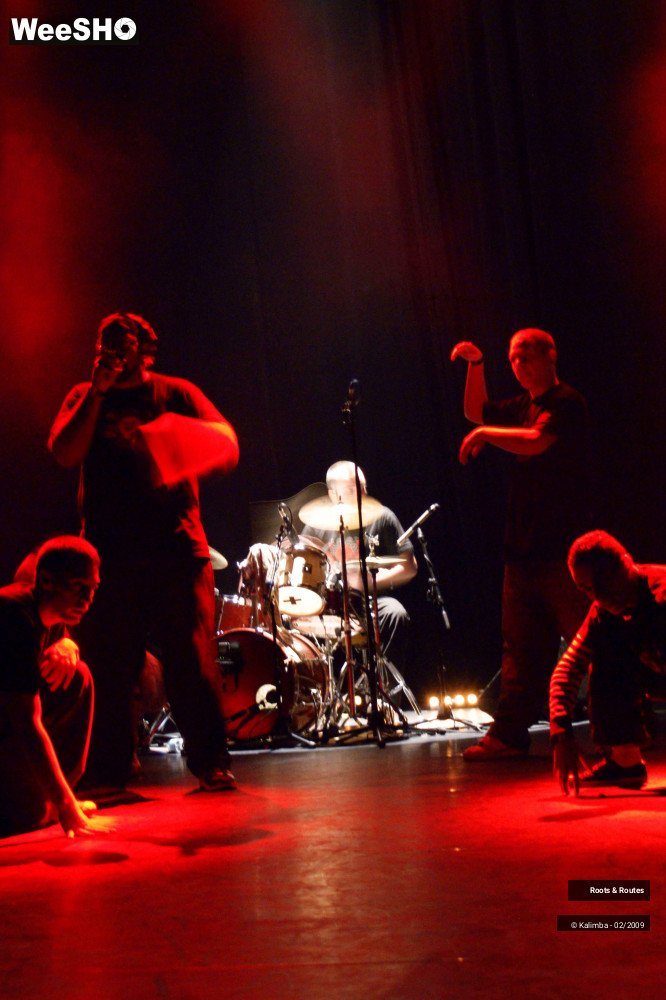 13/38 photos du spectacle Roots & Routes