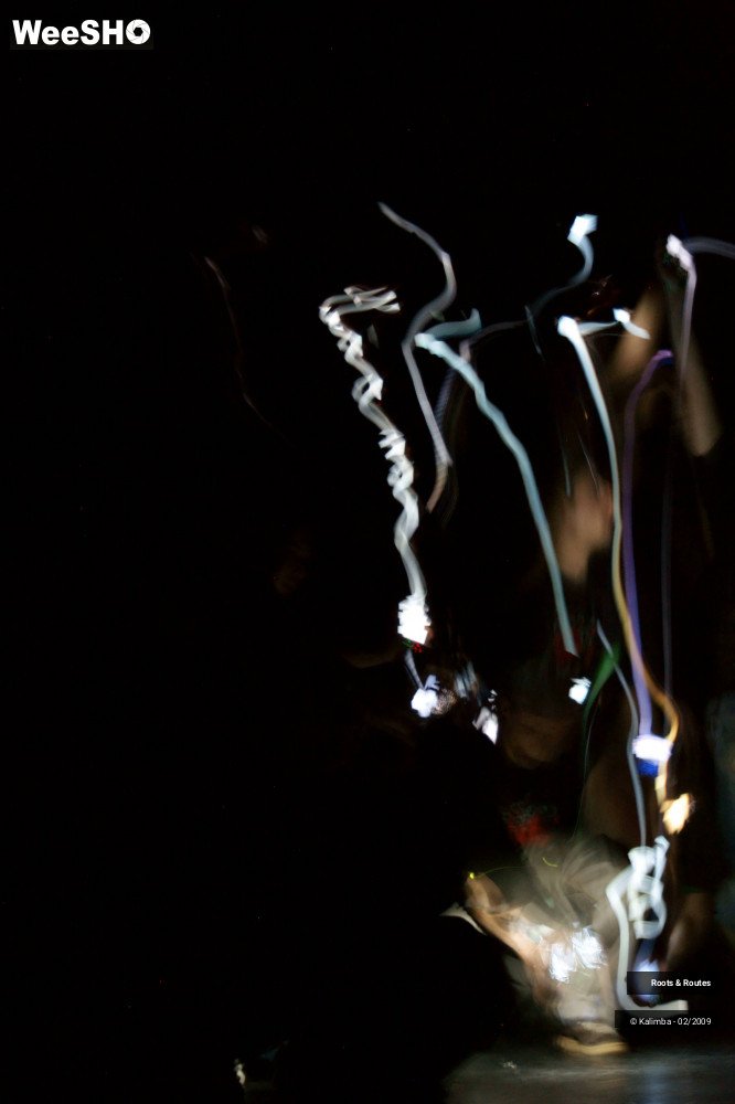 14/38 photos du spectacle Roots & Routes