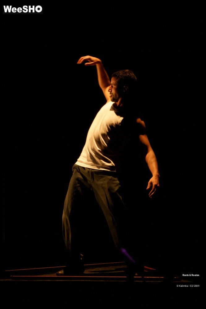 15/38 photos du spectacle Roots & Routes