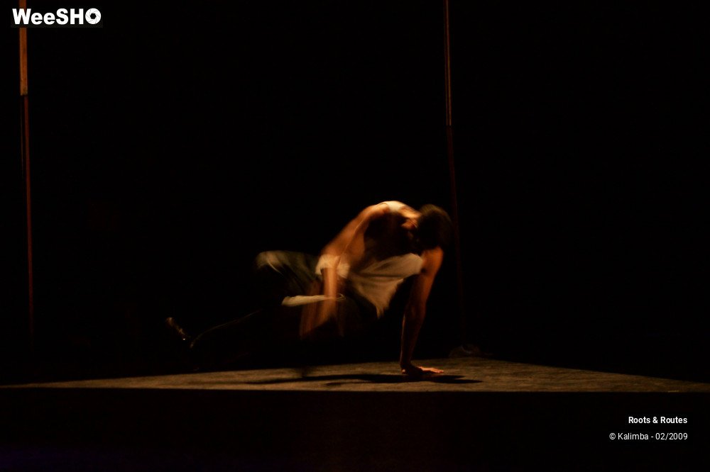 17/38 photos du spectacle Roots & Routes