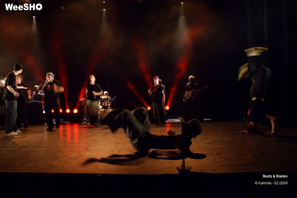 18/38 photos du spectacle Roots & Routes