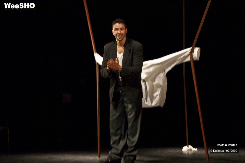 19/38 photos du spectacle Roots & Routes