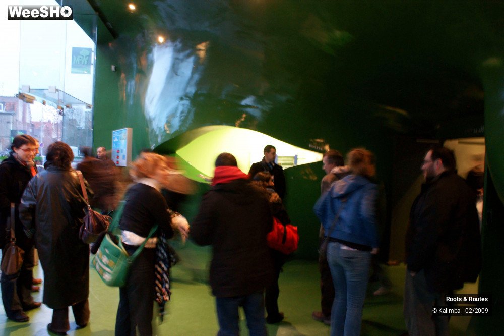 20/38 photos du spectacle Roots & Routes