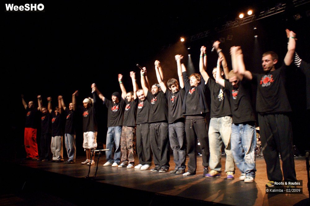 22/38 photos du spectacle Roots & Routes