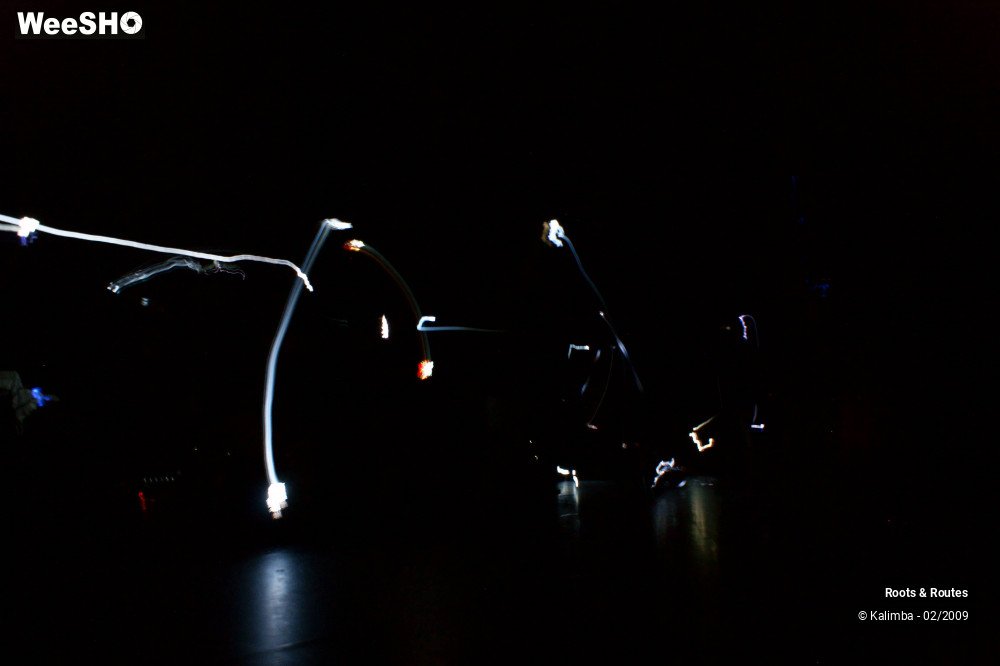 23/38 photos du spectacle Roots & Routes