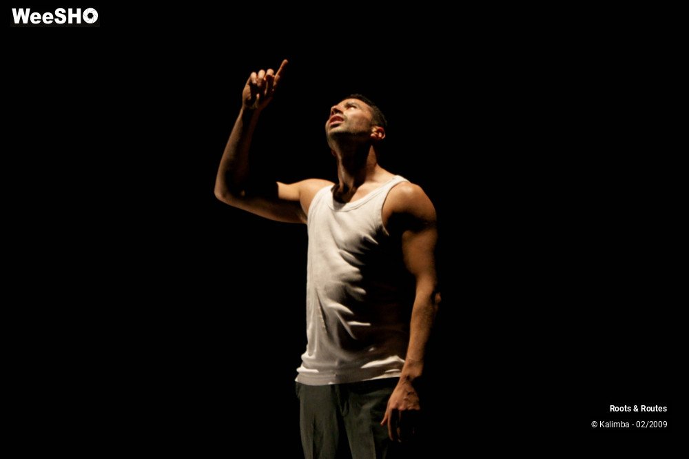 25/38 photos du spectacle Roots & Routes