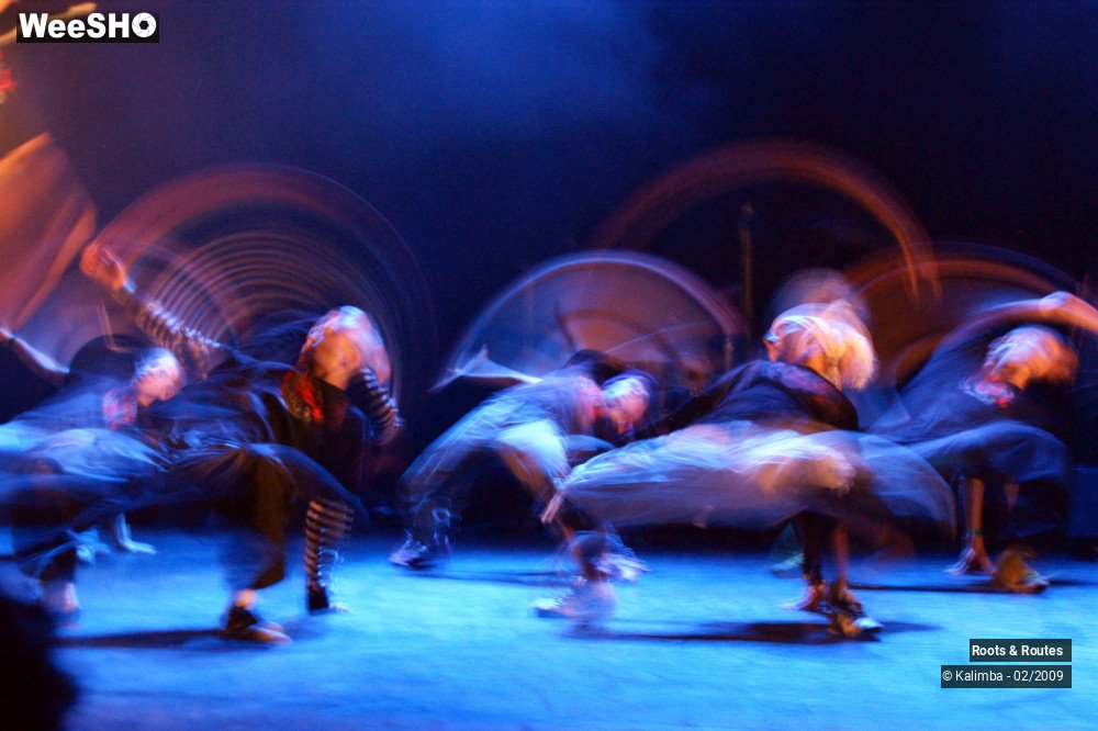 27/38 photos du spectacle Roots & Routes