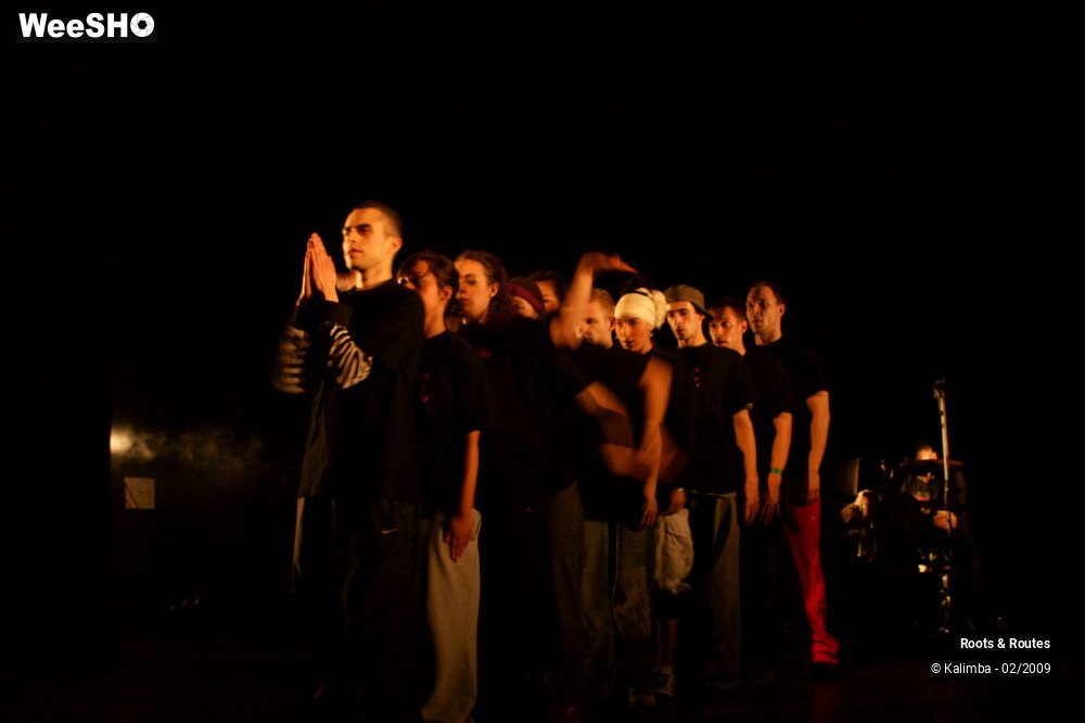 28/38 photos du spectacle Roots & Routes