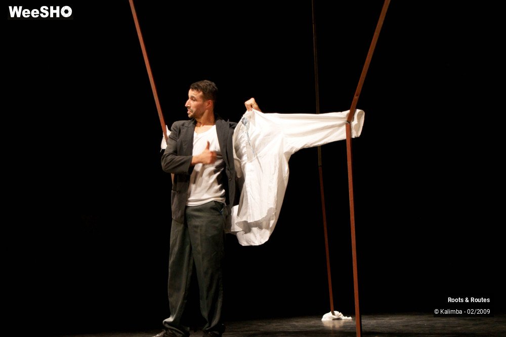 29/38 photos du spectacle Roots & Routes