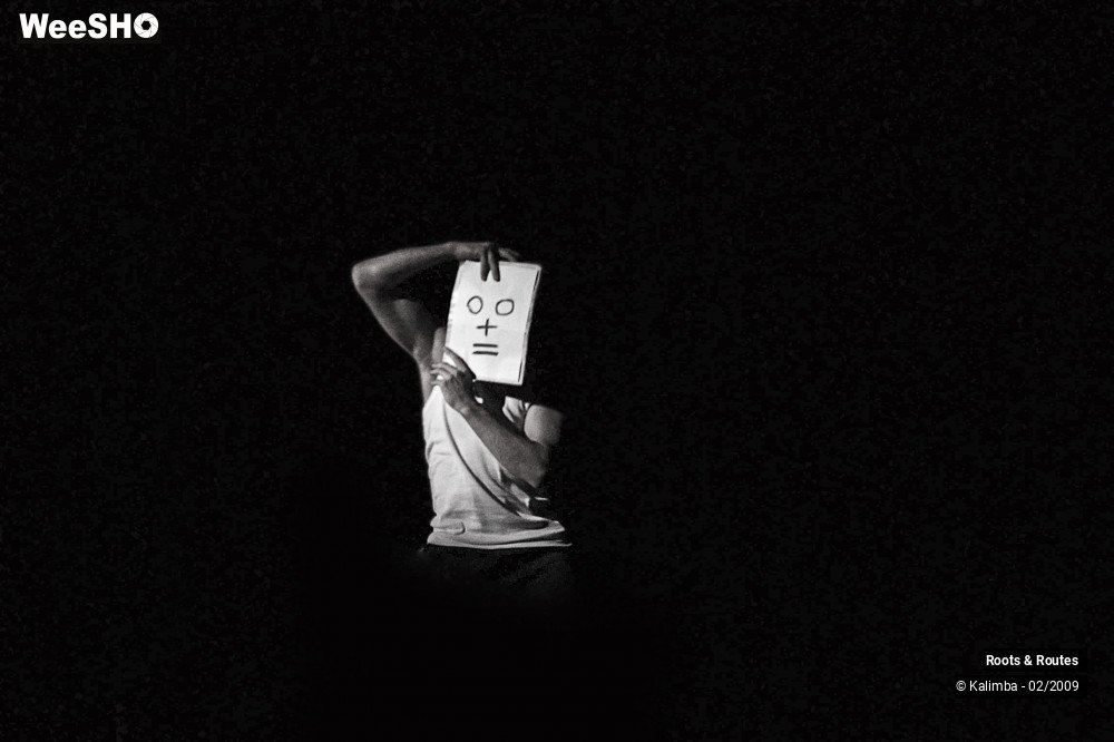 30/38 photos du spectacle Roots & Routes